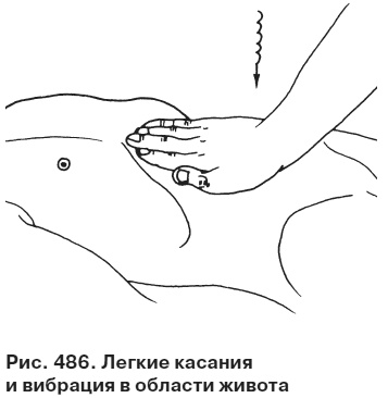 Целительные точки от всех болезней в пошаговых схемах Целительные точки от всех болезней в пошаговых схемах