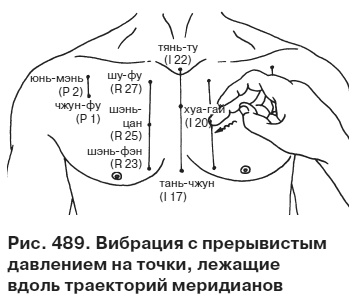 Целительные точки от всех болезней в пошаговых схемах Целительные точки от всех болезней в пошаговых схемах