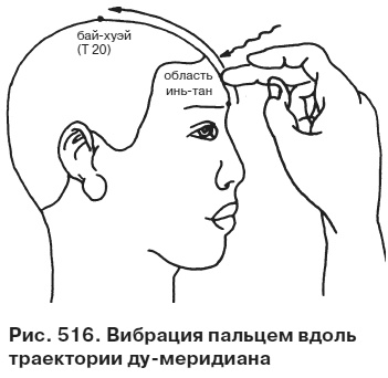 Целительные точки от всех болезней в пошаговых схемах Целительные точки от всех болезней в пошаговых схемах