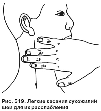 Целительные точки от всех болезней в пошаговых схемах Целительные точки от всех болезней в пошаговых схемах