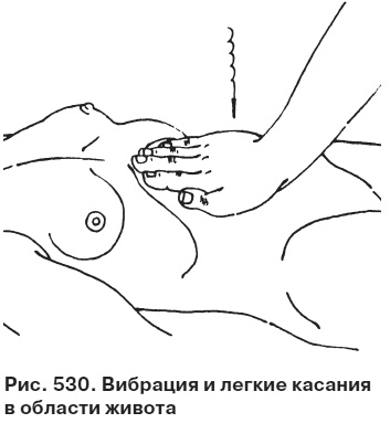 Целительные точки от всех болезней в пошаговых схемах Целительные точки от всех болезней в пошаговых схемах