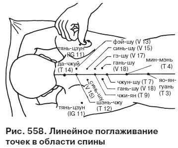 Целительные точки от всех болезней в пошаговых схемах Целительные точки от всех болезней в пошаговых схемах