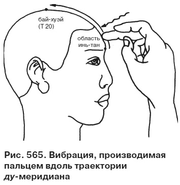 Целительные точки от всех болезней в пошаговых схемах Целительные точки от всех болезней в пошаговых схемах