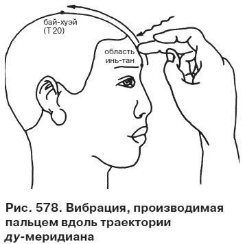 Целительные точки от всех болезней в пошаговых схемах Целительные точки от всех болезней в пошаговых схемах