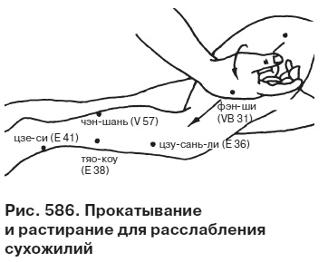 Целительные точки от всех болезней в пошаговых схемах Целительные точки от всех болезней в пошаговых схемах