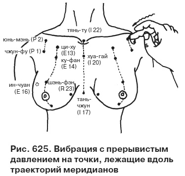 Целительные точки от всех болезней в пошаговых схемах Целительные точки от всех болезней в пошаговых схемах