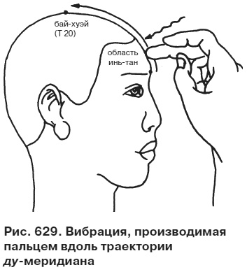 Целительные точки от всех болезней в пошаговых схемах Целительные точки от всех болезней в пошаговых схемах