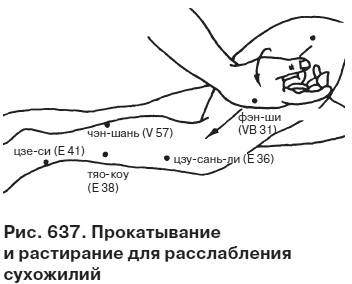 Целительные точки от всех болезней в пошаговых схемах Целительные точки от всех болезней в пошаговых схемах