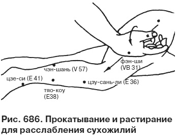 Целительные точки от всех болезней в пошаговых схемах Целительные точки от всех болезней в пошаговых схемах