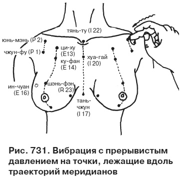 Целительные точки от всех болезней в пошаговых схемах Целительные точки от всех болезней в пошаговых схемах