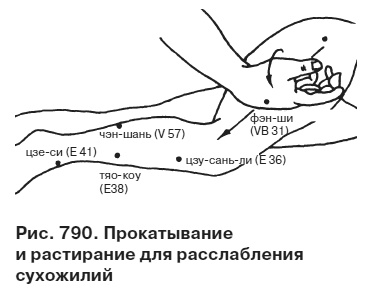 Целительные точки от всех болезней в пошаговых схемах Целительные точки от всех болезней в пошаговых схемах