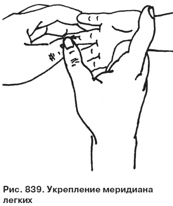 Целительные точки от всех болезней в пошаговых схемах Целительные точки от всех болезней в пошаговых схемах
