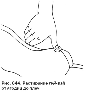 Целительные точки от всех болезней в пошаговых схемах Целительные точки от всех болезней в пошаговых схемах