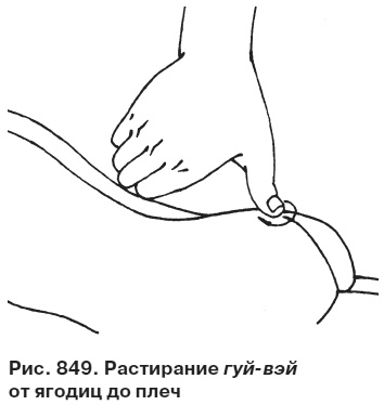 Целительные точки от всех болезней в пошаговых схемах Целительные точки от всех болезней в пошаговых схемах