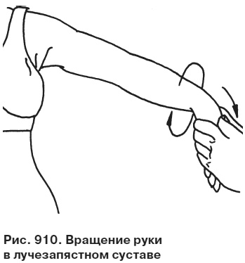 Целительные точки от всех болезней в пошаговых схемах Целительные точки от всех болезней в пошаговых схемах