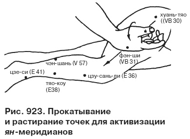 Целительные точки от всех болезней в пошаговых схемах Целительные точки от всех болезней в пошаговых схемах