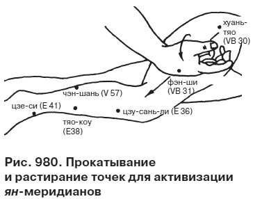 Целительные точки от всех болезней в пошаговых схемах Целительные точки от всех болезней в пошаговых схемах