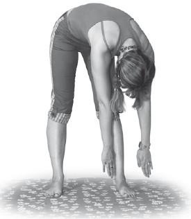 Лечебная гимнастика для позвоночника Лечебная гимнастика для позвоночника