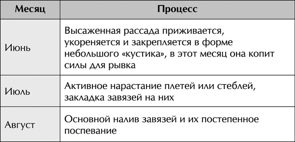 Теплицы без ошибок. С чего начать и как эффективно использовать Теплицы без ошибок. С чего начать и как эффективно использовать