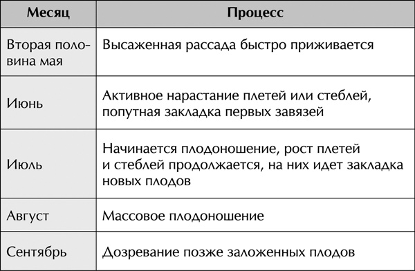 Теплицы без ошибок. С чего начать и как эффективно использовать Теплицы без ошибок. С чего начать и как эффективно использовать