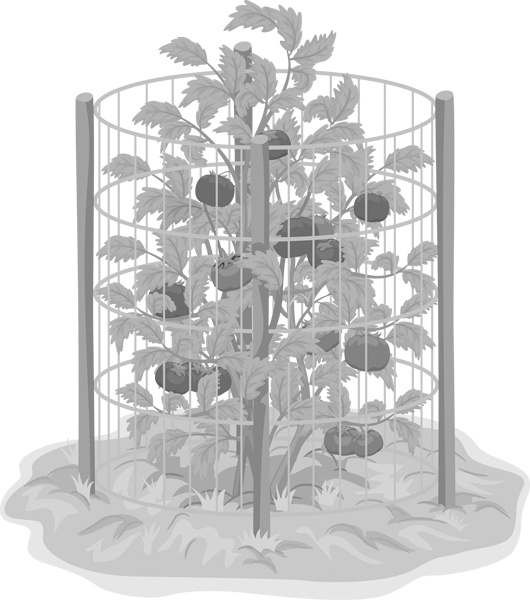 Теплицы без ошибок. С чего начать и как эффективно использовать Теплицы без ошибок. С чего начать и как эффективно использовать