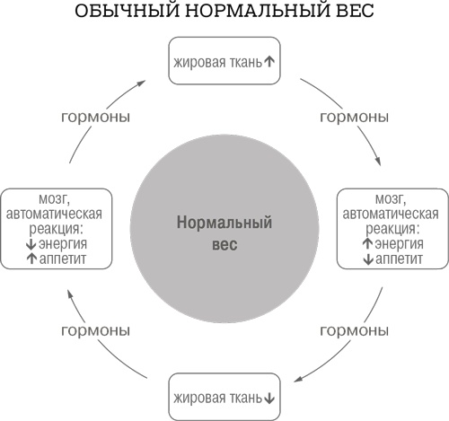 Дело не в калориях. Как не зависеть от диет, не изнурять себя фитнесом, быть в отличной форме и жить лучше Дело не в калориях. Как не зависеть от диет, не изнурять себя фитнесом, быть в отличной форме и жить лучше