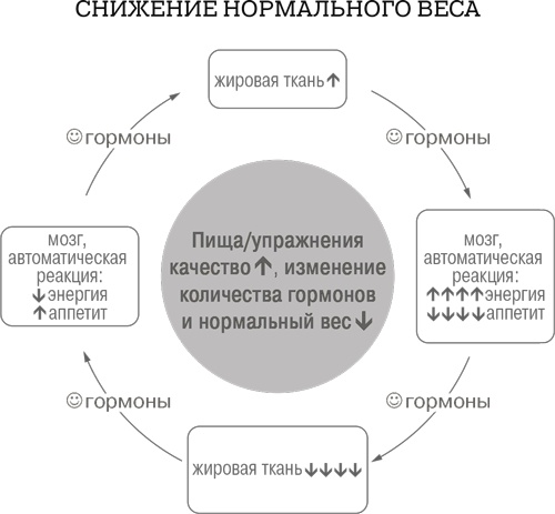 Дело не в калориях. Как не зависеть от диет, не изнурять себя фитнесом, быть в отличной форме и жить лучше Дело не в калориях. Как не зависеть от диет, не изнурять себя фитнесом, быть в отличной форме и жить лучше