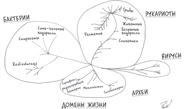 Неотрицаемое. Наш мир и теория эволюции Неотрицаемое. Наш мир и теория эволюции