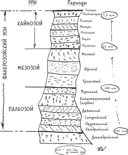 Неотрицаемое. Наш мир и теория эволюции Неотрицаемое. Наш мир и теория эволюции