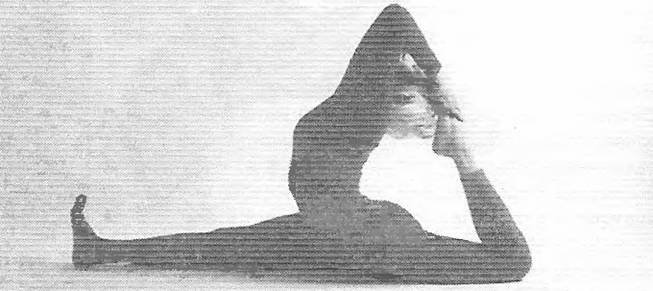 Новая йога для тех, кому за 50: обратите вспять процессы старения. Руководство по йоге для людей среднего и старшего возраста Новая йога для тех, кому за 50: обратите вспять процессы старения. Руководство по йоге для людей среднего и старшего возраста