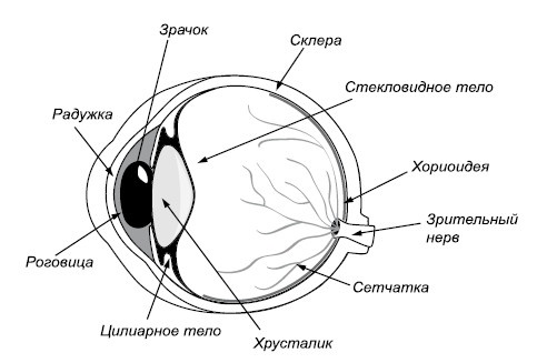 Лучшие методы восстановления зрения Лучшие методы восстановления зрения