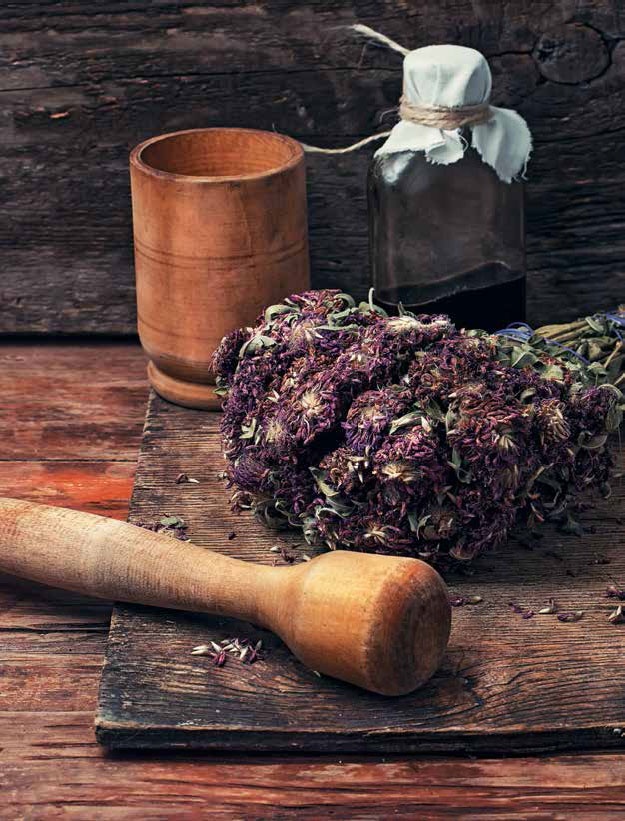 Кулинарная энциклопедия. Том 27. П (Паштель – Пестик) Кулинарная энциклопедия. Том 27. П (Паштель – Пестик)