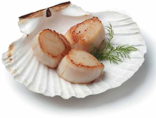 Кулинарная энциклопедия. Том 21. М (Минеральная вода – Морской язык) Кулинарная энциклопедия. Том 21. М (Минеральная вода – Морской язык)