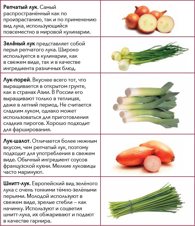 Кулинарная энциклопедия. Том 18. Л-М (Логанова ягода – Малосольные огурцы) Кулинарная энциклопедия. Том 18. Л-М (Логанова ягода – Малосольные огурцы)