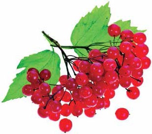 Кулинарная энциклопедия. Том 10. И-К (Испанская кухня – Каперсы) Кулинарная энциклопедия. Том 10. И-К (Испанская кухня – Каперсы)