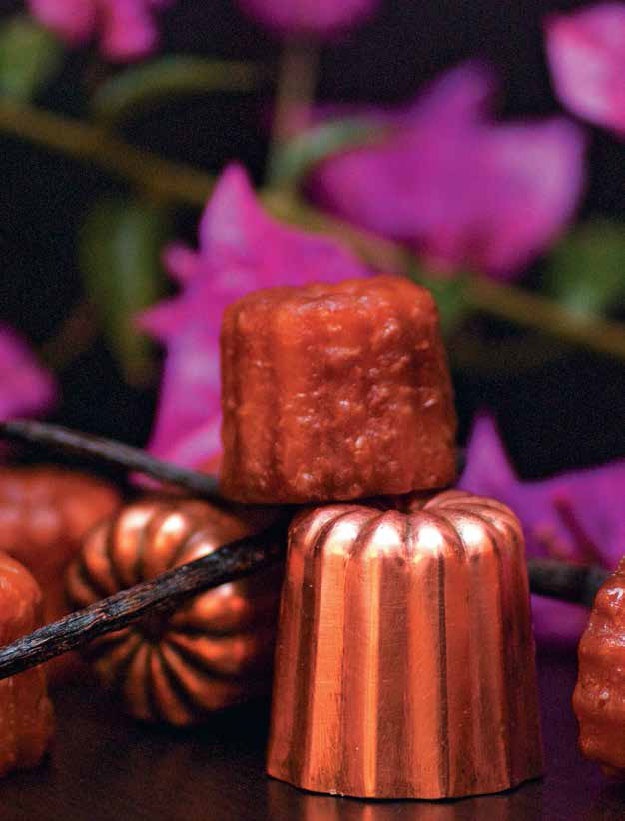 Кулинарная энциклопедия. Том 10. И-К (Испанская кухня – Каперсы) Кулинарная энциклопедия. Том 10. И-К (Испанская кухня – Каперсы)