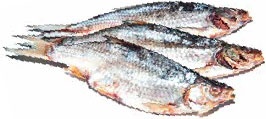 Кулинарная энциклопедия. Том 5. В-Г (Венский шницель – Гамбо) Кулинарная энциклопедия. Том 5. В-Г (Венский шницель – Гамбо)