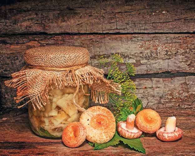 Кулинарная энциклопедия. Том 5. В-Г (Венский шницель – Гамбо) Кулинарная энциклопедия. Том 5. В-Г (Венский шницель – Гамбо)