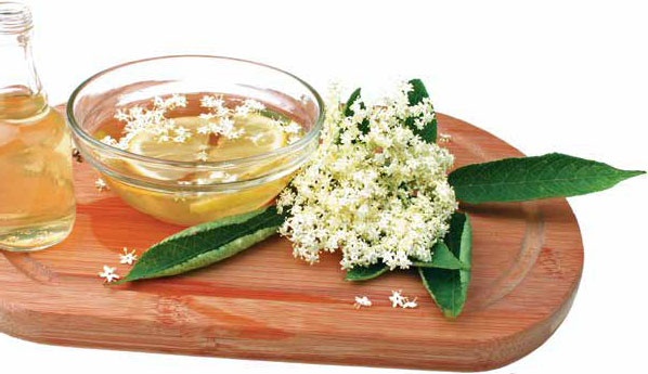 Кулинарная энциклопедия. Том 4. Б-В (Брусника – Венгерские клёцки) Кулинарная энциклопедия. Том 4. Б-В (Брусника – Венгерские клёцки)