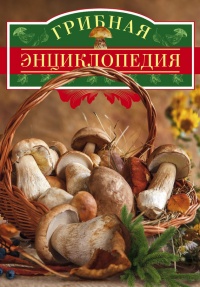 Грибная энциклопедия - Вадим Арчер - Читать книги онлайн | Слушать аудиокниги онлайн | Электронная библиотека books-lib.com