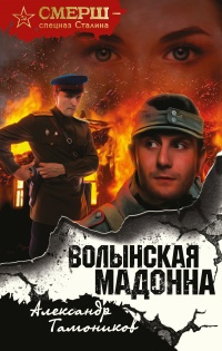 Волынская мадонна - Александр Тамоников - Читать книги онлайн | Слушать аудиокниги онлайн | Электронная библиотека books-lib.com
