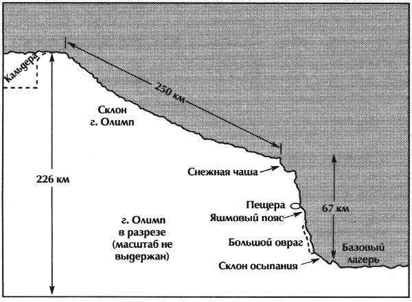 Марсиане Марсиане