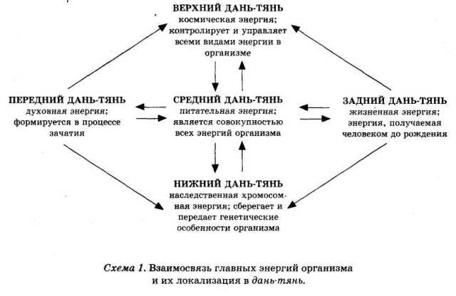 Энциклопедия целебного чая Энциклопедия целебного чая
