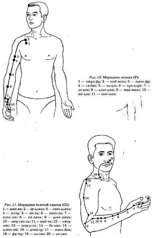 Энциклопедия целебного чая Энциклопедия целебного чая