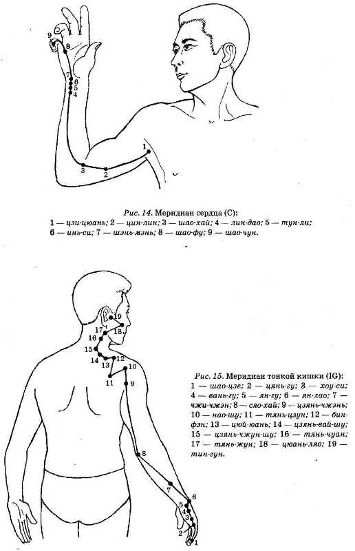 Энциклопедия целебного чая Энциклопедия целебного чая