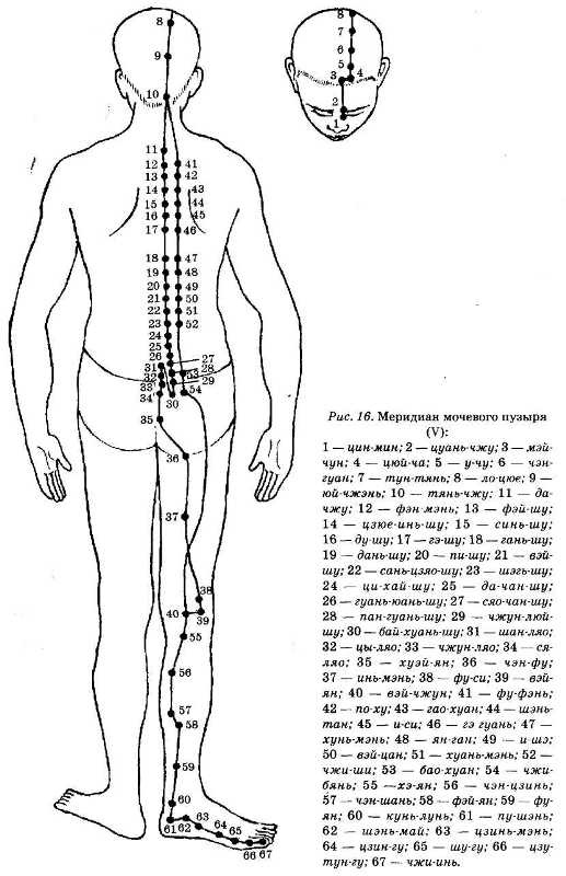 Энциклопедия целебного чая Энциклопедия целебного чая