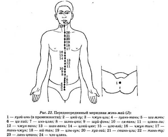 Энциклопедия целебного чая Энциклопедия целебного чая