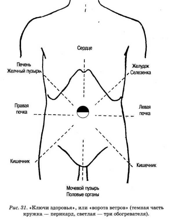 Энциклопедия целебного чая Энциклопедия целебного чая