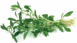 Кулинарная энциклопедия. Том 40. Ц – Я (Цыпленок – Ячмень) Кулинарная энциклопедия. Том 40. Ц – Я (Цыпленок – Ячмень)