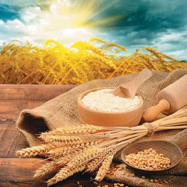 Кулинарная энциклопедия. Том 30. П-Р (Поросёнок – Радиккьо) Кулинарная энциклопедия. Том 30. П-Р (Поросёнок – Радиккьо)